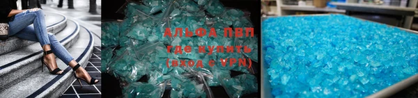 PSILOCYBIN Костерёво
