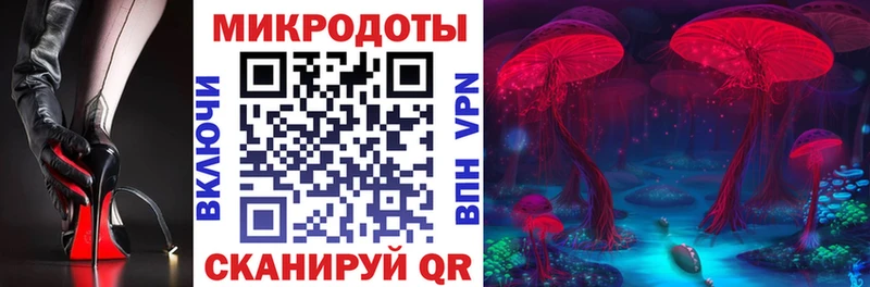 Галлюциногенные грибы MAGIC MUSHROOMS  Демидов 